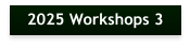 2025 Workshops 3